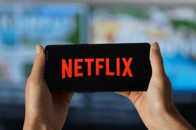 Pelicula accion francesa exito netflix